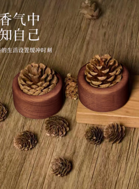 松果扩香木家用榉木扩香器创意无火香薰桌面装饰摆件车载精油扩香