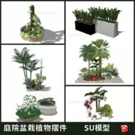 花草树木植物盆栽 新人首单立减十元 21年8月 淘宝海外