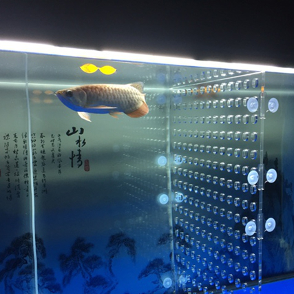 亚克力鱼缸隔离板 幼鱼阻拦板 隔挡板 水族箱隔板 隔断网鱼缸隔板 - 图0