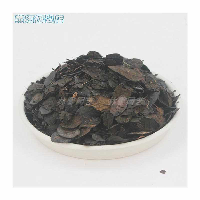 速发栗树营养液云营发酵叶兰花栽培基质土植料耳叶腐叶土种植质料,淘宝优惠券,粉丝福利购,淘宝优惠卷