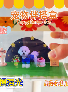 宠物全息投影盒子宠物定制3d全息投影盒子ai电子宠物定制纪念品