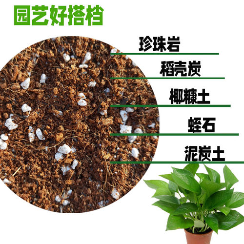 园艺出口级珍珠岩蛭石养花月季兰花植料盆栽多肉种植营养土粉末少 - 图1