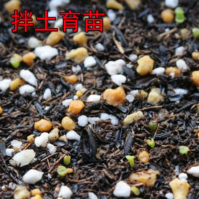 进口鹿沼土包邮多肉植物兰花杜鹃花弱酸营养土铺面石另售赤玉土 虎窝淘