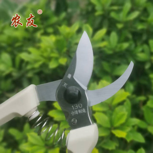 台湾农友130省力修枝剪刀果树剪枝剪花花艺园艺剪子防滑修枝剪 - 图0
