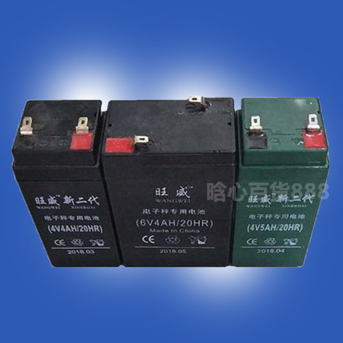 电子秤电池旺威专用台称通用4V蓄电池4V4AH20HR童车6V玩具车电瓶 - 图0