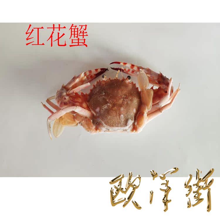 花盖蟹 新人首单立减十元 21年8月 淘宝海外
