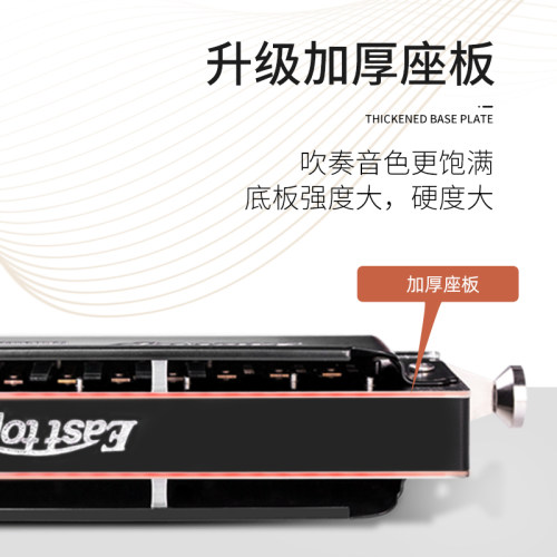东方鼎金色梦想者12孔半音阶口琴专业演奏初学练习C调T1248K - 图1