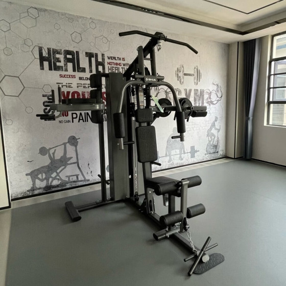 Shuhua SH-G5201/G5203/G5205 single, three or four-person standing home multi-functional comprehensive strength training equipment
