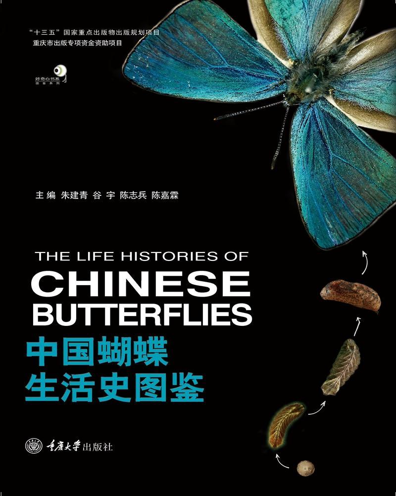 正版包邮 中国蝴蝶生活史图鉴 264种国内蝴蝶的生活史及幼期特征 蝴蝶的分类生物学等基础知识 蝴蝶生活史图鉴大全书籍