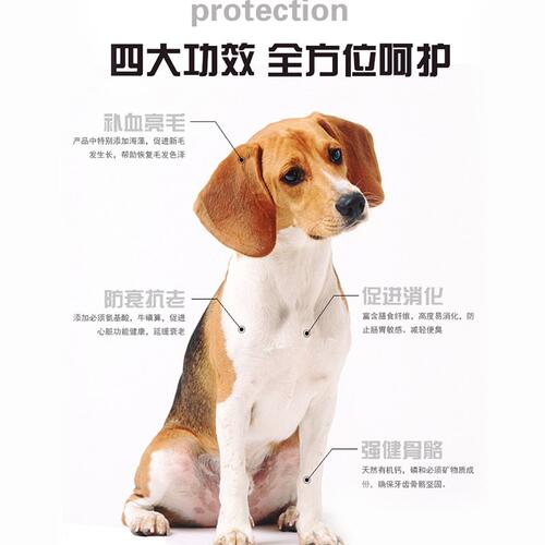 酷儿狗粮 幼犬粮40斤20kg泰迪比熊金毛马犬德牧藏獒松狮通用犬粮 - 图2