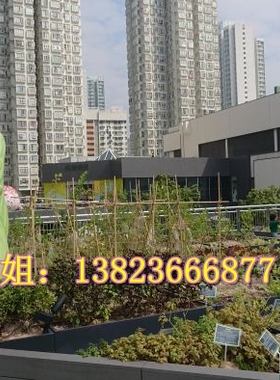 定制粮食假农作物景观模型巨型仿真玻璃钢树脂纤维玉米雕塑美陈
