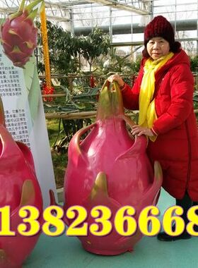 乡村振兴农业合作社展馆巨型玻璃钢火龙果模型雕塑城市园林景观