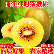 Sichuan Pujiang Red Heart Macaque Peach When Season Fresh Fruit Pujiang Red Yang Macaque Peach Chic Exotic Fruits 5 Catty Fruits