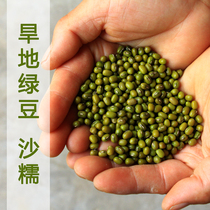 2023 farmhouse green beans Wugu legume Miscellaneous Cereals Fresh And Beans Sprouts small green beans 4 catties