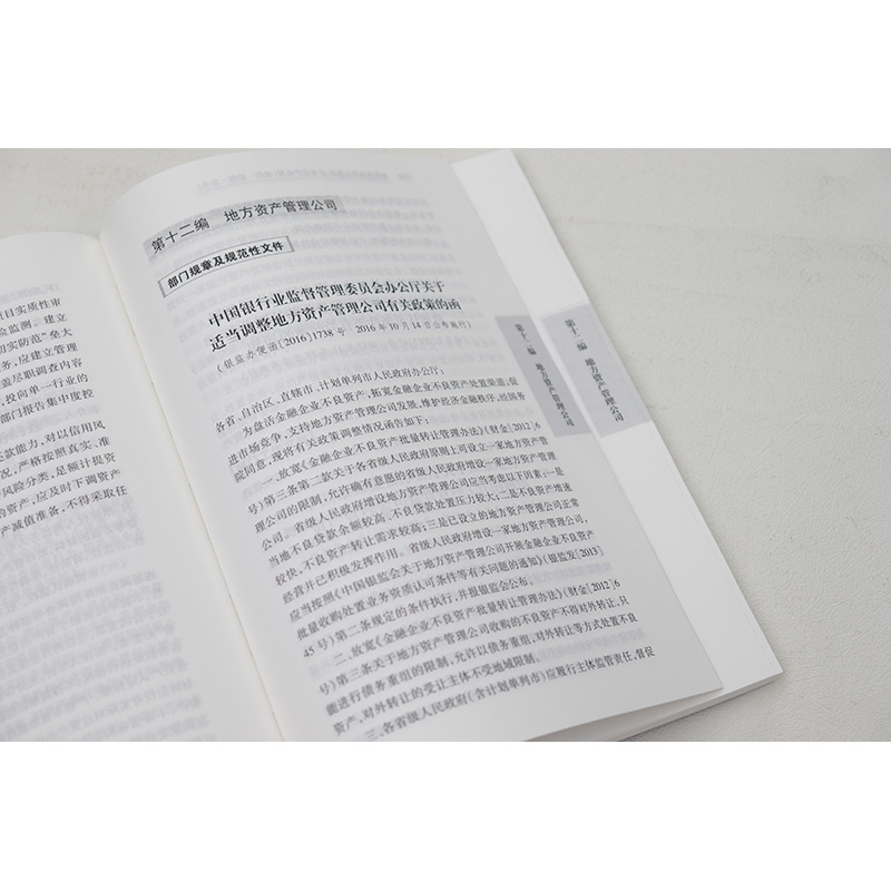 正版法律与政策工具箱不良资产处置规定案例文书苏建永不良资产管理法律法规政策行业规定指导案例分析金融借款担保制度法律-图3