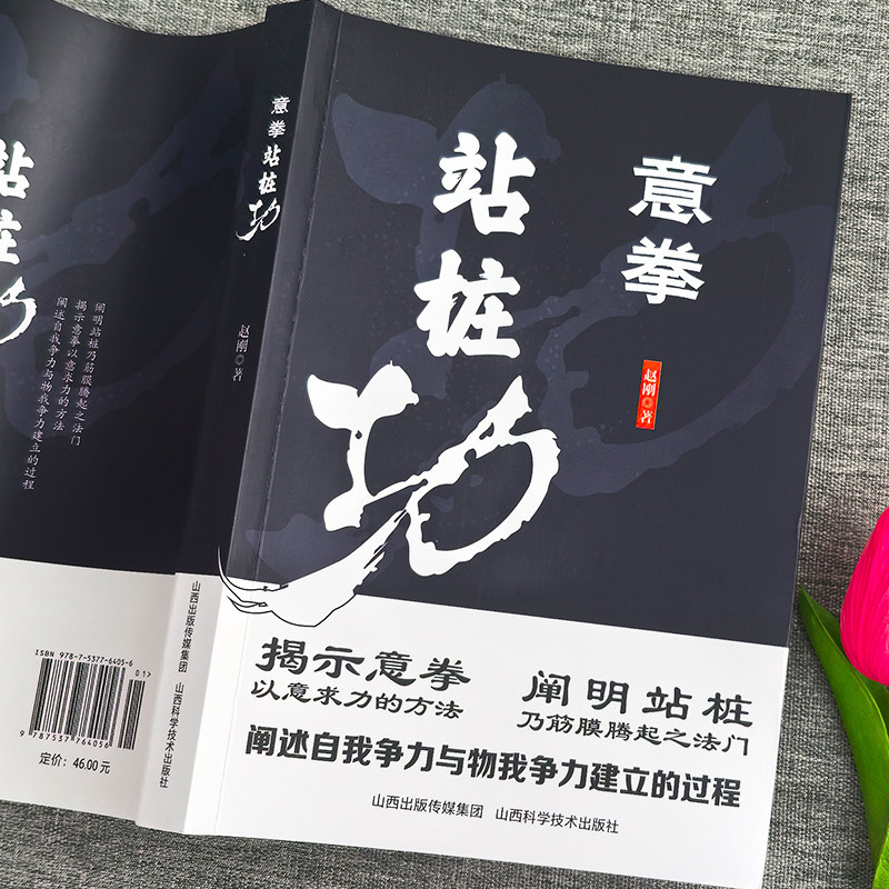 意拳站桩功正版 意拳传人赵钢著 大成拳养生功法站桩养生法 形意拳内家拳武学经典 王芗斋站桩功拳学教程书籍意拳养生站桩功书,淘宝优惠券,粉丝福利购,淘宝优惠卷