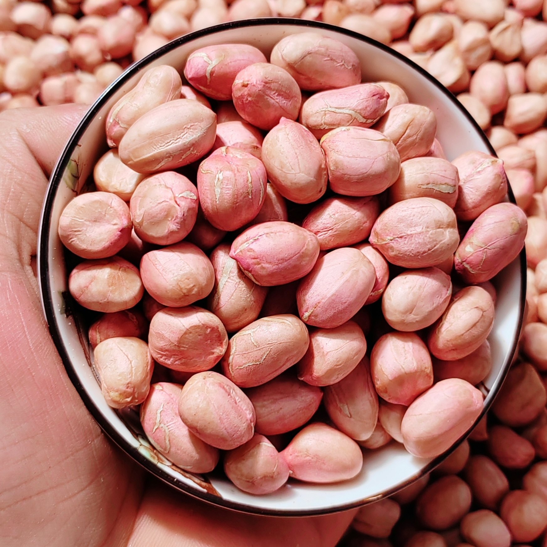 2025年新鲜上市花生米生新河南农家自产大颗粒白沙花生新货农产品,淘宝优惠券,粉丝福利购,淘宝优惠卷