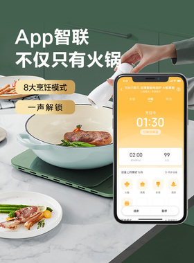 TOKIT厨几AI语音超薄电磁炉家用定时智享多功能火锅爆炒大功率