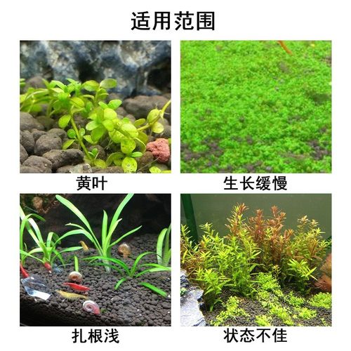 尼特利水草液肥综合铁钾肥鱼缸底肥红草肥不伤鱼水草缸肥料营养液 - 图2