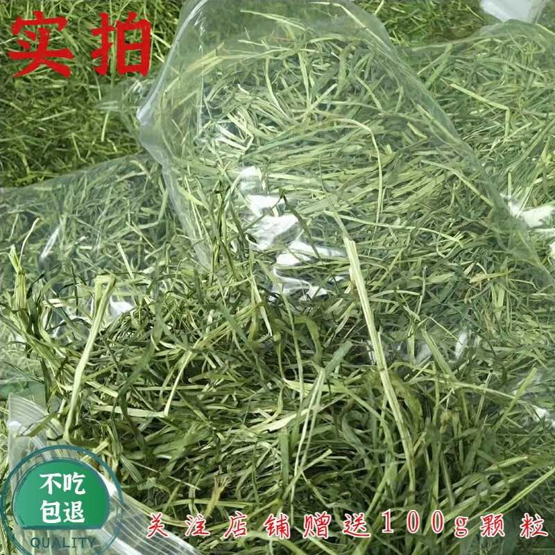 23年新提摩西草精品兔子干草荷兰猪猪粮龙猫牧草晒干北提岷县500g-图1