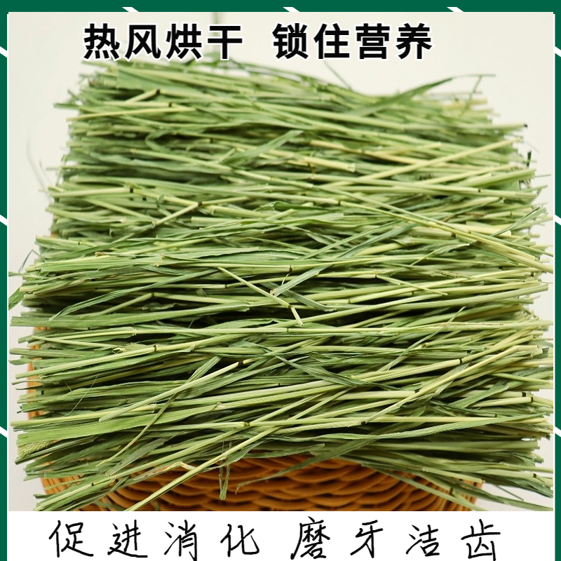 烘干多杆子特级提摩西草段嫩绿少杆小宠物龙猫兔子磨牙食物干草牧 - 图2