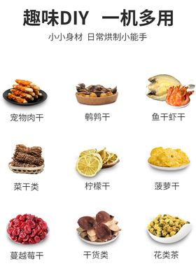 鸡胸肉小鱼干宠物零食肉干风干机