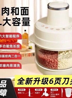 德国智能绞肉和面一体机家用5L升