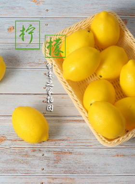 小清新摆拍道具摄影道具仿真水果柠檬美食搭配道具装饰水果拍照道