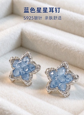 蓝色星星S925银针高级感耳钉
