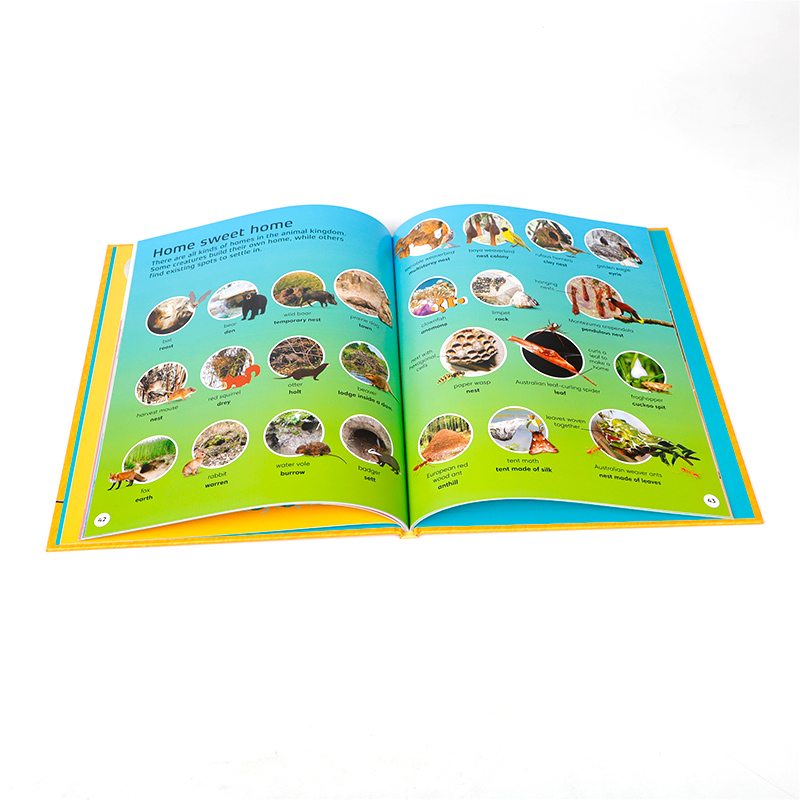 英文原版 DK 1000 Animal Words: Build Animal Vocabulary and Literacy Skills DK动物1000词 认知启蒙 动物主题 单词学习 - 图0