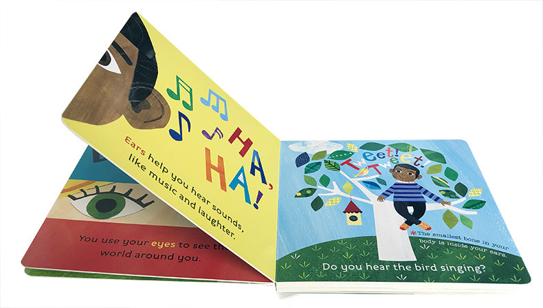 English Original Hello World My Body Hello World Series Self Body Cognition Physiology Children S Enlightenment Picture Cardboard Book Biological Knowledge Science Encyclopedia Picture Book Author Jill Mcdonald