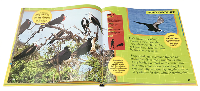 英文原版National Geographic美国国家地理Little Kids First Big Book of Birds 鸟类少儿英语百科普 精装大开本彩色绘本单词认知 - 图0