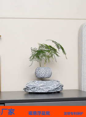 跨境爆款工厂直供家居办公创意磁悬浮盆景盆栽多肉绿植花卉摆件