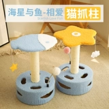 Котенок кошка скалолаза