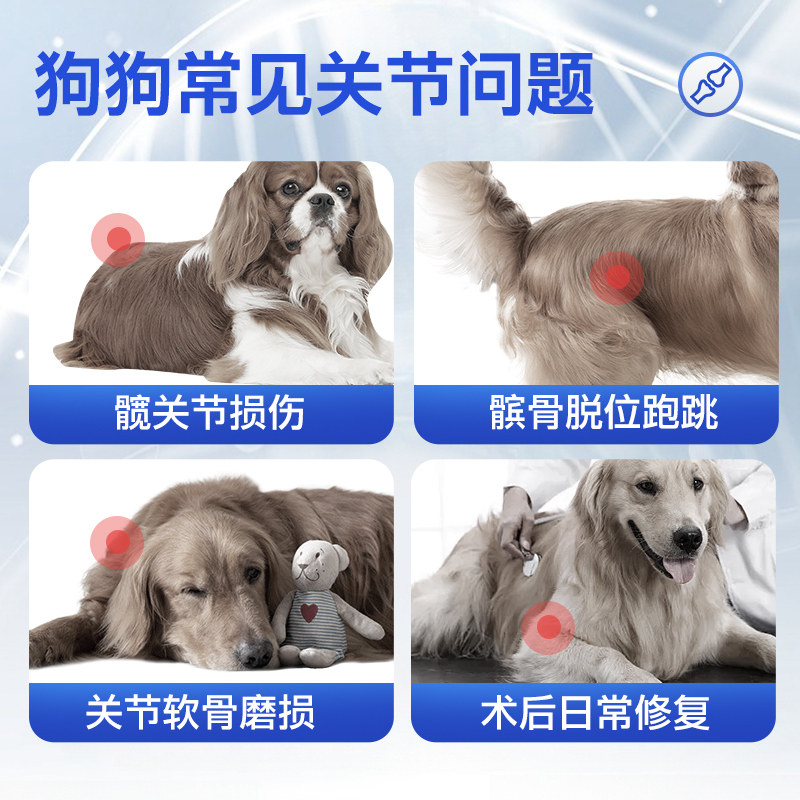 谷登鲨鱼软骨素狗狗专用宠物有助关节修复幼犬成犬老年犬健骨补钙,淘宝优惠券,粉丝福利购,淘宝优惠卷