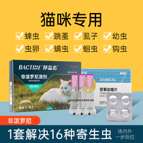 Kittens insect repellent Medicine body inside and outside Non-prednisone Drop-in-body Insect Repellent in in vitro Insect Repellent