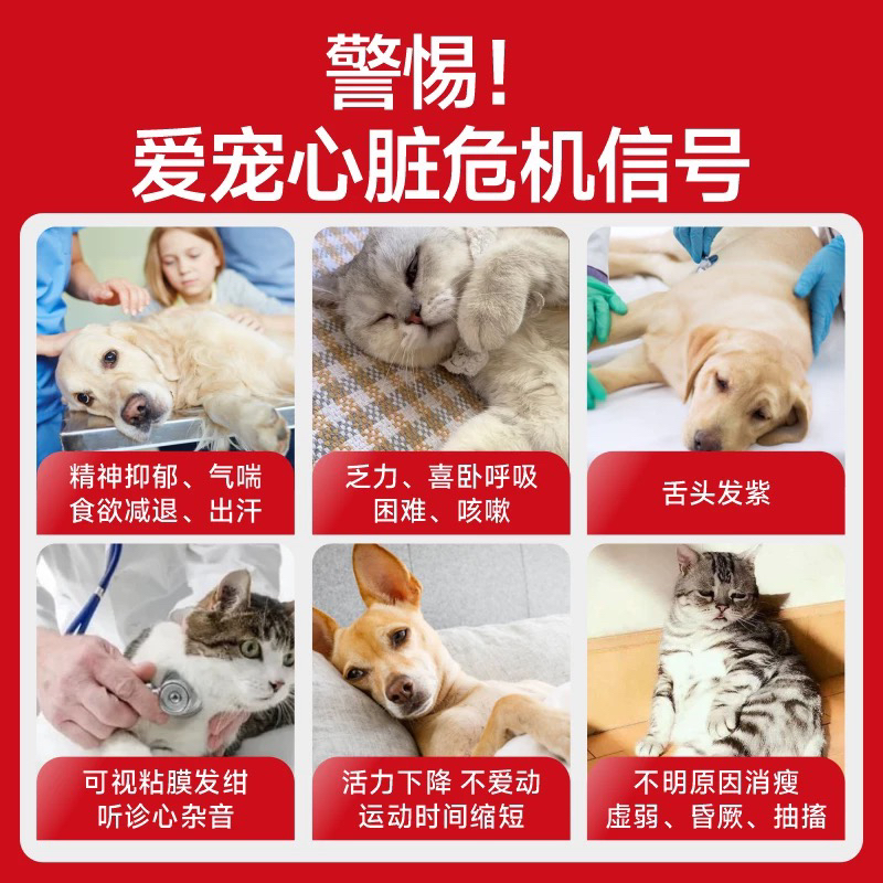 辅酶q10狗狗猫咪心脏保护专用养心片宠物保健品维生素营养补充剂 - 图1