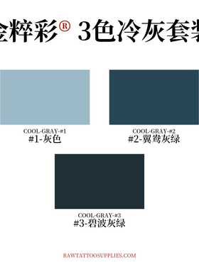 RAW金粹彩纹身色料3色冷色调彩灰