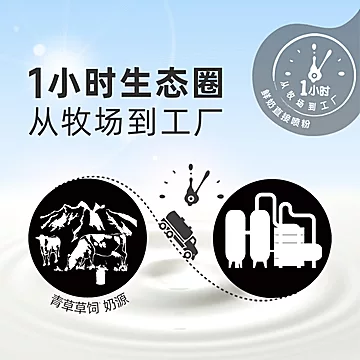 纽仕兰新西兰进口全脂高钙奶粉1kg[5元优惠券]-寻折猪