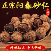 Yang Spring Sandy Ren 100g Spring Sand Rincha Kernel Dry Fruit Yang Spring Chinese Herbal Medicine to Cook Broth Steamed Meat