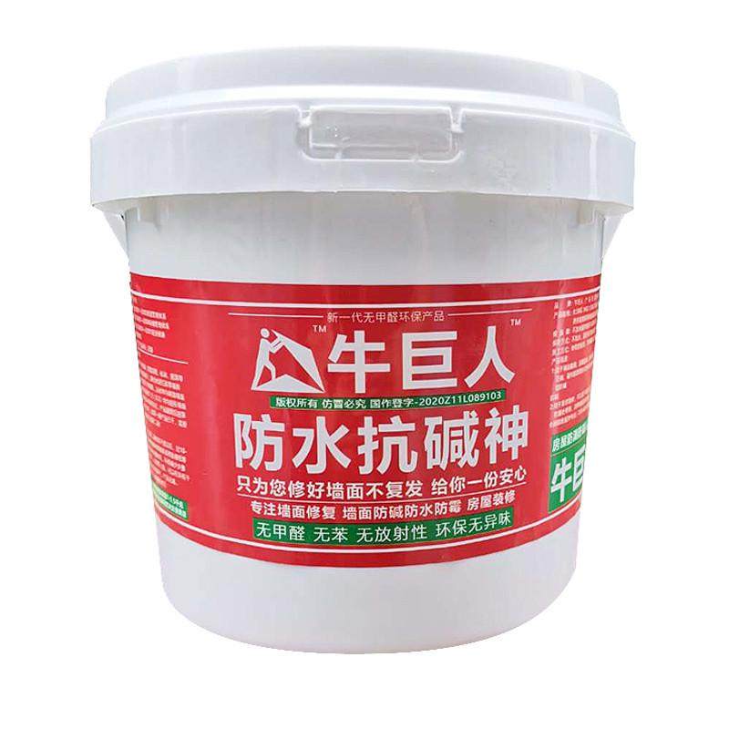 墙面防水防霉防碱墙壁修复返潮泛碱长白毛处理补墙膏腻子墙碱渗水,淘宝优惠券,粉丝福利购,淘宝优惠卷