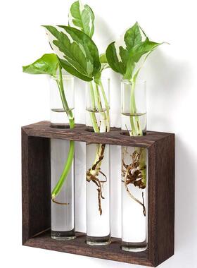 水培花瓶试管水养绿植插花植物容器简约木架摆件台面装饰玻璃花器