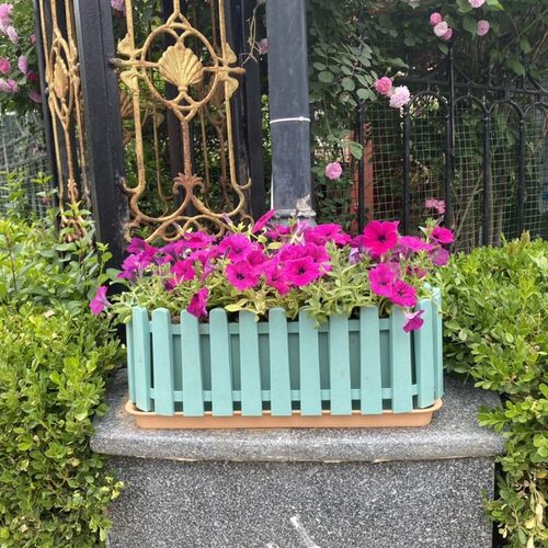 欧式玫瑰月季花盆PP树脂塑料椭圆形欧月多肉长方形户外阳台栅栏盆 - 图0