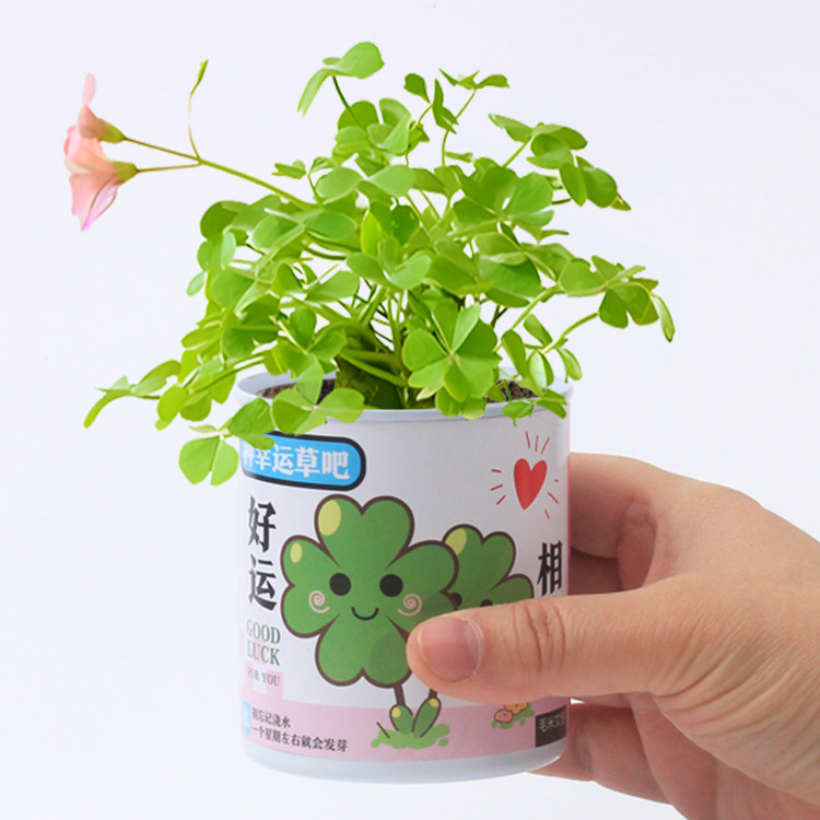 地推热卖实用桌面创意礼品学生节日礼物手工奖励幼儿园儿童小礼品