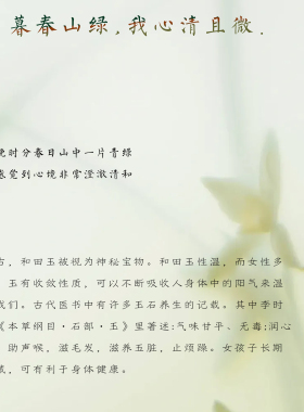 QIANTAO「映晴」原创中式天然和田玉碧玉手串女冰飘南红手链礼物