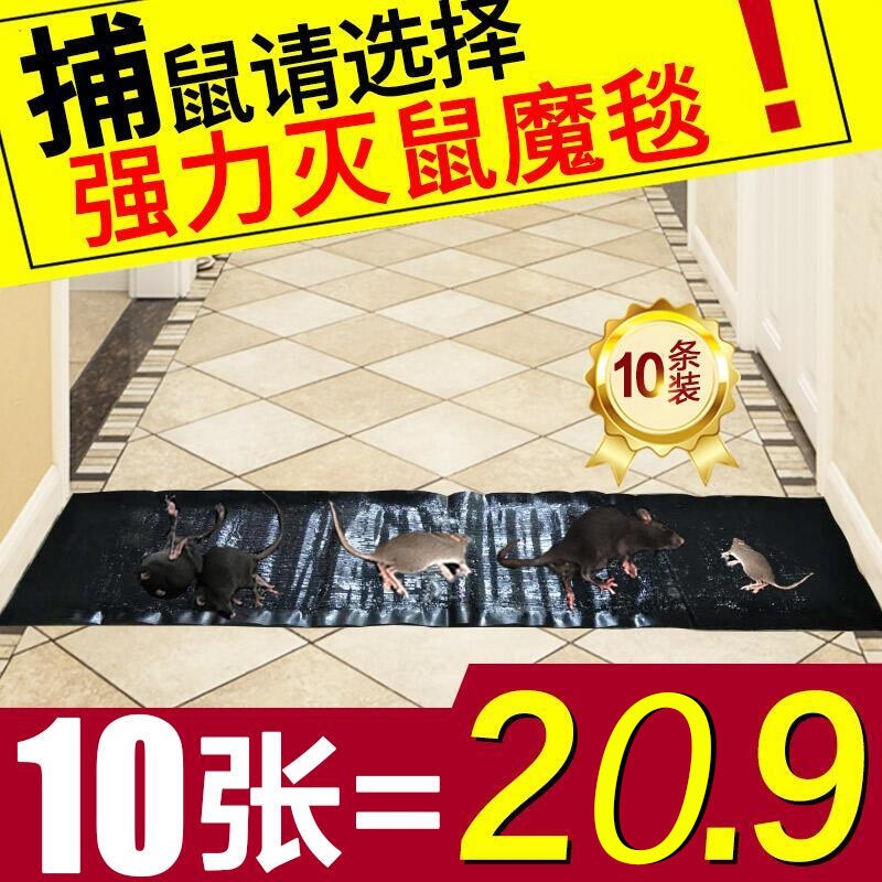 粘鼠板超强力正品大沾粘老鼠贴胶黏灭抓捕鼠驱鼠神器家用药灭鼠毯-图0