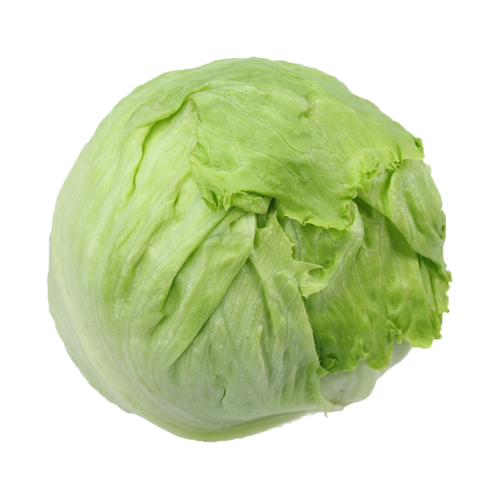 20斤装 包邮 汉堡用球生菜西餐新鲜蔬菜沙拉食材结球形圆型西生菜 - 图3