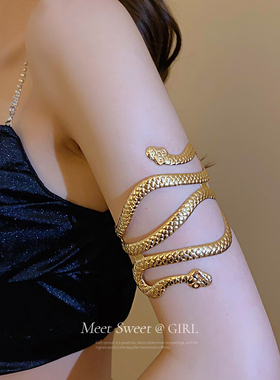 欧美金属蛇形首饰开口手镯金色臂环胳膊埃及饰品女辣妹银色朋克