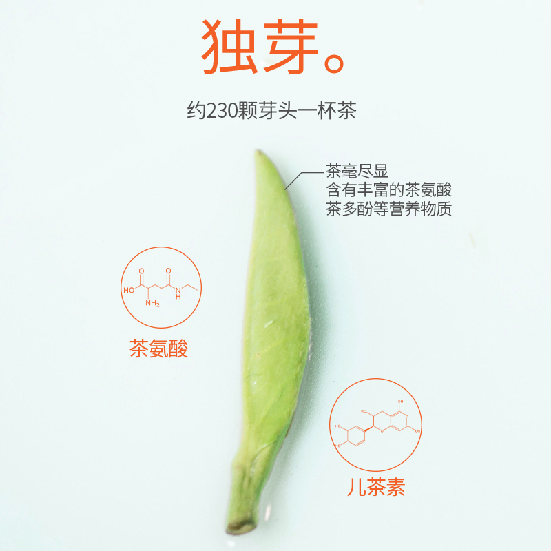 子乐宅 青竹兰妃兰花茶2024新茶四川特色茶正宗兰花香单芽茶叶