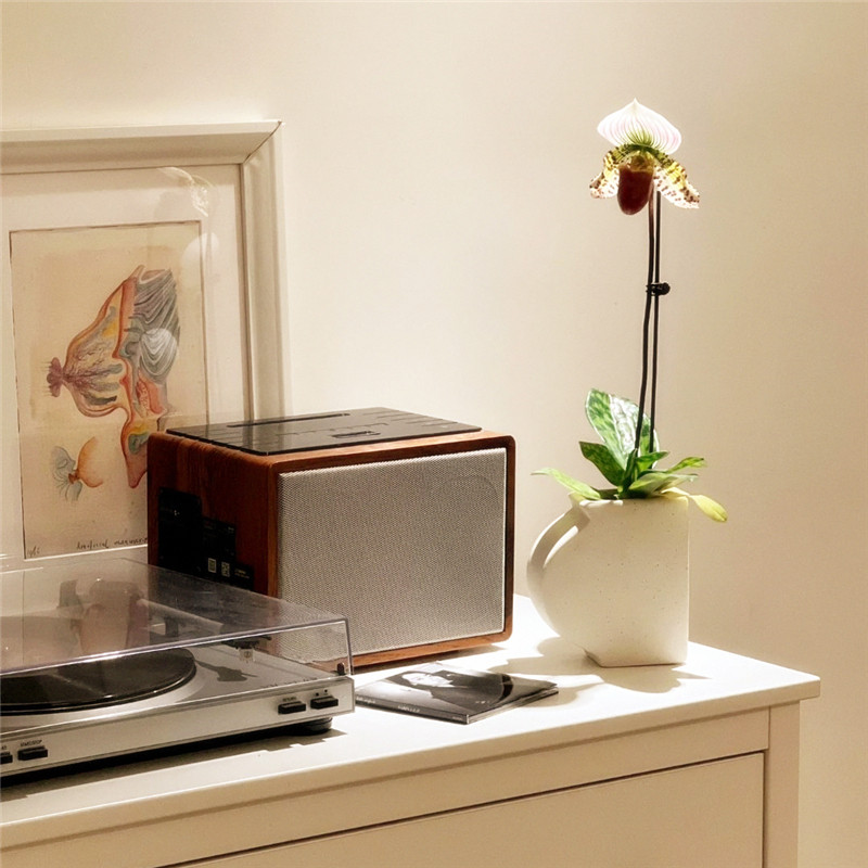 SONGSUN/尚声CD机专辑播放器复古家用蓝牙音箱木质收音机充电便携,淘宝优惠券,粉丝福利购,淘宝优惠卷